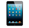 Apple iPad mini 16Gb Wi-Fi Black